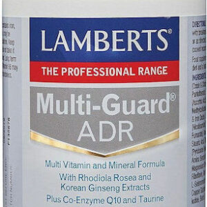 xlarge 20240802154021 lamberts multi guard adr vitamini gia energeia 120 tampletes