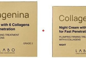 xlarge 20220117102211 lamberts hypoallergenic formulation vitamin b12 1000 60 tampletes
