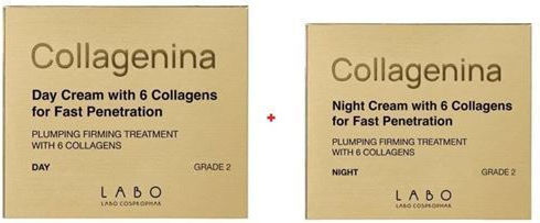 xlarge 20220117102211 lamberts hypoallergenic formulation vitamin b12 1000 60 tampletes