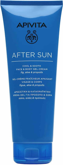 xlarge_20231205114147_apivita_cool_sooth_after_sun_gel_gia_prosopo_kai_soma_me_aloi_vera_200ml xlarge 20231205114147 apivita cool sooth after sun gel gia prosopo kai soma me aloi vera 200ml