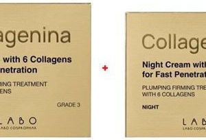 xlarge 20250307131910 labo collagenina grade 3 set peripoiisis gia enydatosi sysfixi 2tmch