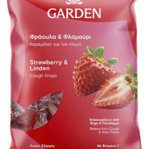 xlarge 20250605162138 garden strawberry linden karameles 60gr (1)