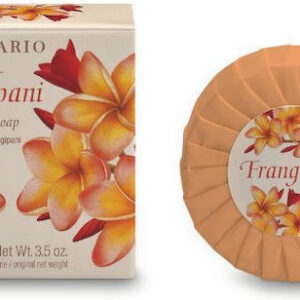 xlarge 20221115144259 l erbolario frangipani 100gr
