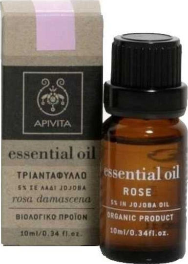 xlarge_20200313135201_apivita_5_essential_oil_rose_in_jojoba_oil_10ml (1) xlarge 20200313135201 apivita 5 essential oil rose in jojoba oil 10ml (1)