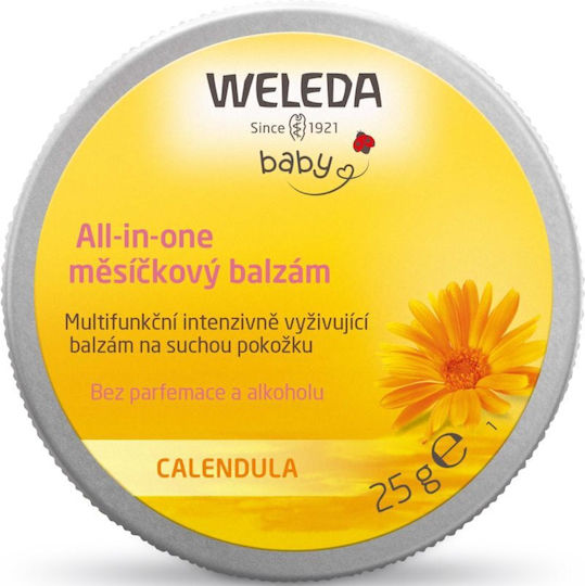 xlarge_20221025114246_weleda_baby_derma_lip_care_25gr xlarge 20221025114246 weleda baby derma lip care 25gr