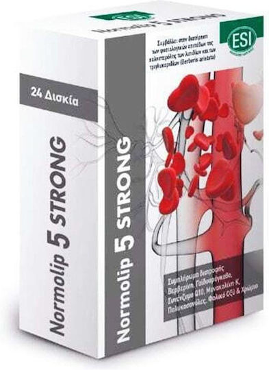 xlarge_20231025101626_esi_normolip_5_strong_24_tampletes xlarge 20231025101626 esi normolip 5 strong 24 tampletes