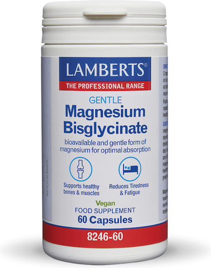 xlarge_20260123104410_lamberts_gentle_magnesium_bisglycinate_150mg_60_kapsoules xlarge 20260123104410 lamberts gentle magnesium bisglycinate 150mg 60 kapsoules