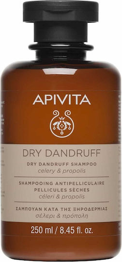 xlarge 20260918092214 apivita dry dandruff sampouan kata tis pityridas tis xirodermias 250ml