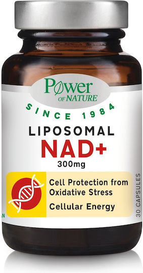 xlarge_20260922103542_power_health_liposomal_nad_300mg_eidiko_sympliroma_diatrofis_30_kapsoules xlarge 20260922103542 power health liposomal nad 300mg eidiko sympliroma diatrofis 30 kapsoules